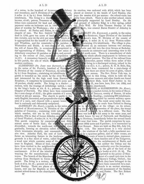 Stampa su tela Poster Fab Funky Scheletro sul monociclo Figurativo Verticale